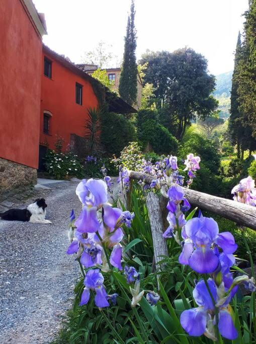 Uno Spazio Di Relax In Toscana Lägenhet Buti Exteriör bild