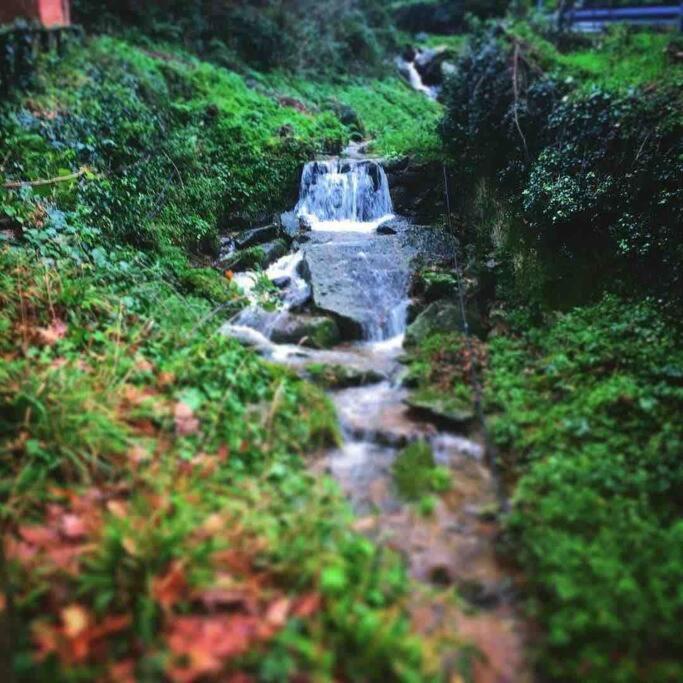 Uno Spazio Di Relax In Toscana Lägenhet Buti Exteriör bild