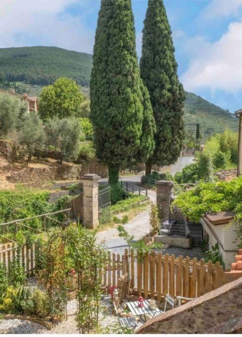 Uno Spazio Di Relax In Toscana Lägenhet Buti Exteriör bild