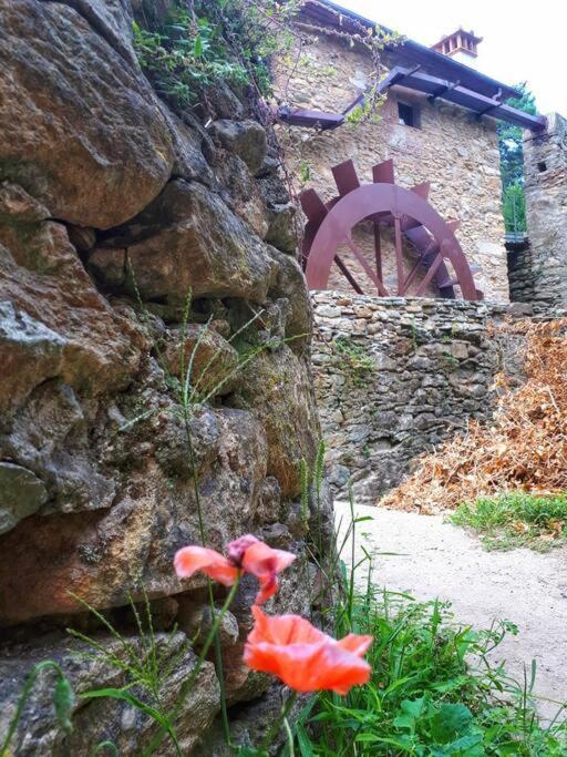 Uno Spazio Di Relax In Toscana Lägenhet Buti Exteriör bild