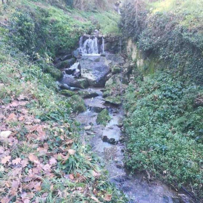 Uno Spazio Di Relax In Toscana Lägenhet Buti Exteriör bild