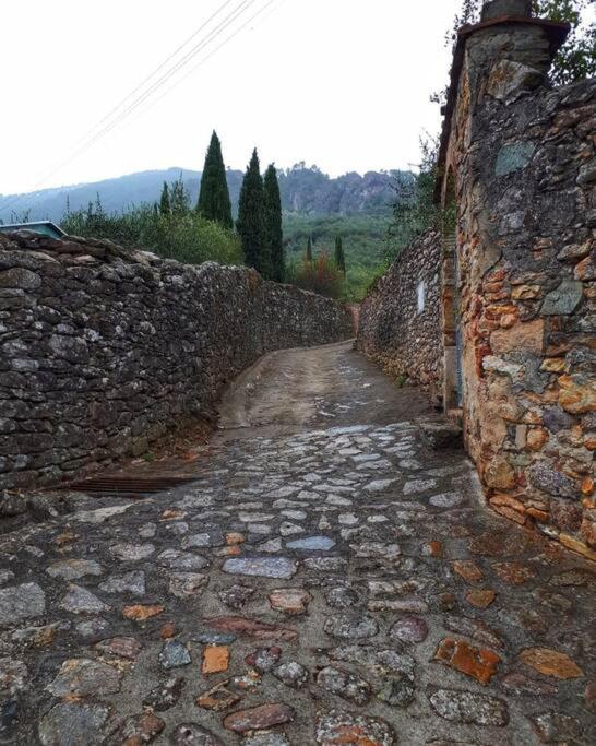 Uno Spazio Di Relax In Toscana Lägenhet Buti Exteriör bild